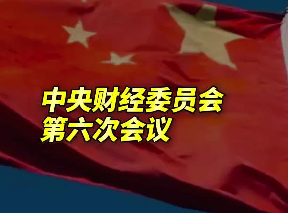 中央财经委员会第六次会议：推进全国统一大市场建设 规范政府采购和招标投标